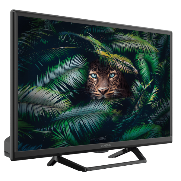 TV e Hotel TV Strong 24 HD READY T2/S2/C ST CEN 220/12V