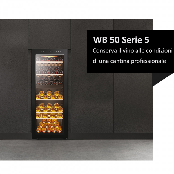 CANTINETTE Haier CANTINA VINO H 1270W 495 D 580 79 BOTT BLACK CL. G