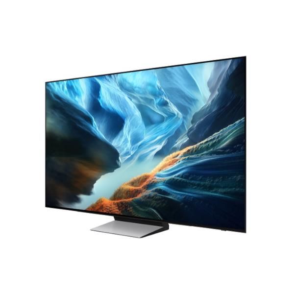 TV e Hotel TV Samsung TV 55 OLED 4K QE55S90HAEXZT